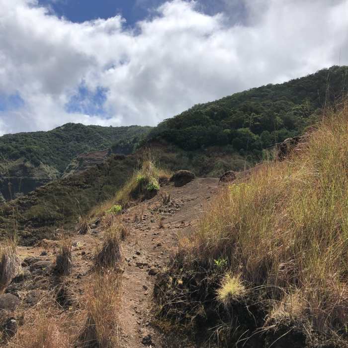 This is at the cliff edge - this is a vista along the old trail. Near Nualolo Nualolo Cliffs Awaawapuhi loop