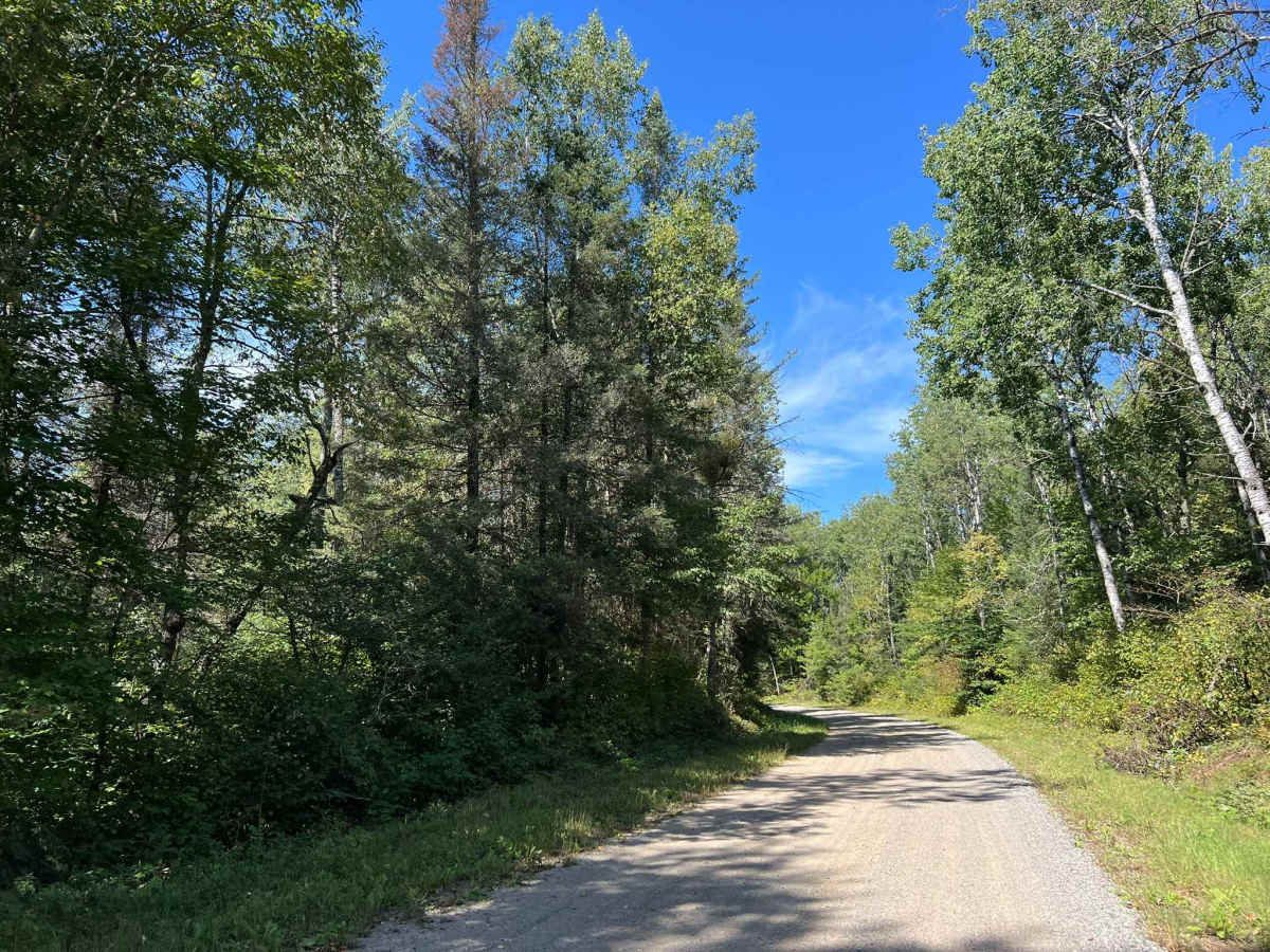 Goose Creek Road - FS 2367 photo 2