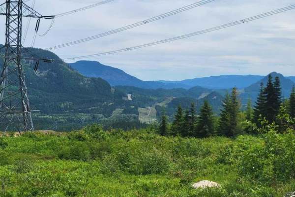 Cabin Creek Road (NF-41)