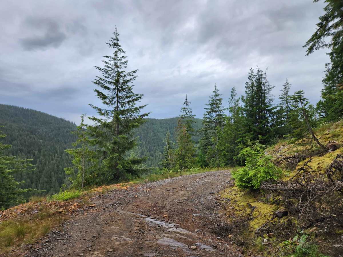 Gold Beaver Creek trail photo
