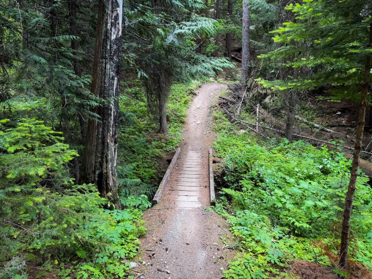 Tacoma Divide  trail photo