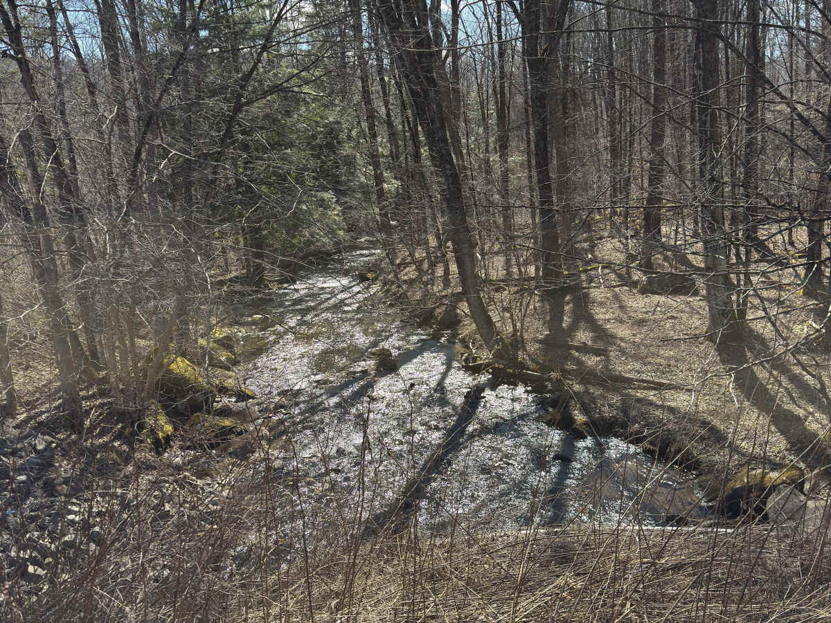 Wintergreen Run - FS 508 photo 3