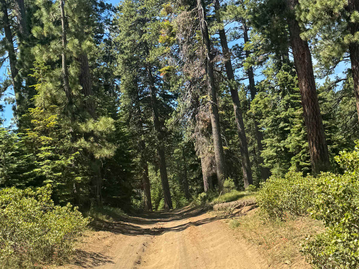 Dugout Lake - FS 1030-350 photo 5