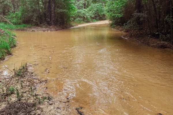 Pearl River Run
