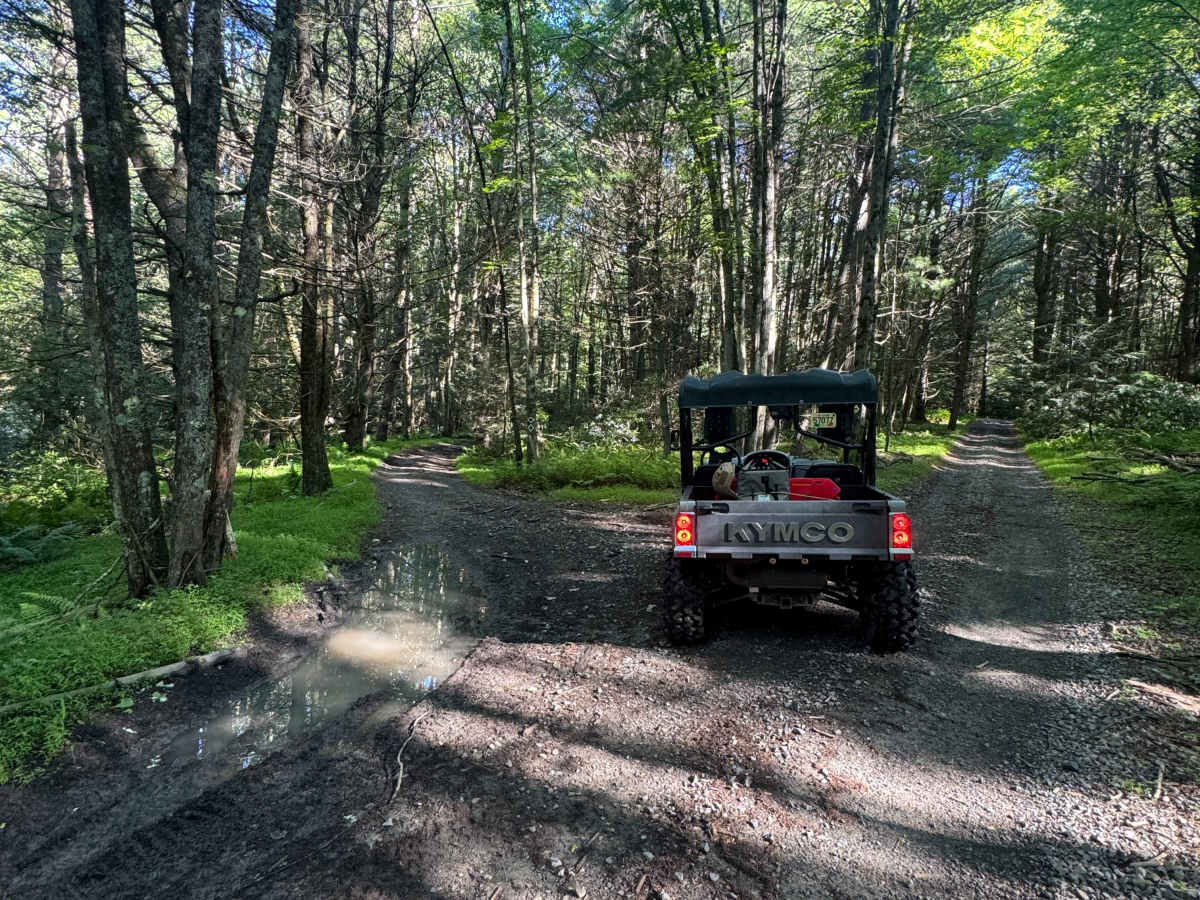 Stitzer's Well Trail trail photo