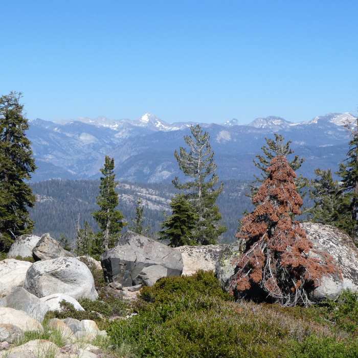 Near Lillian Lake Loop