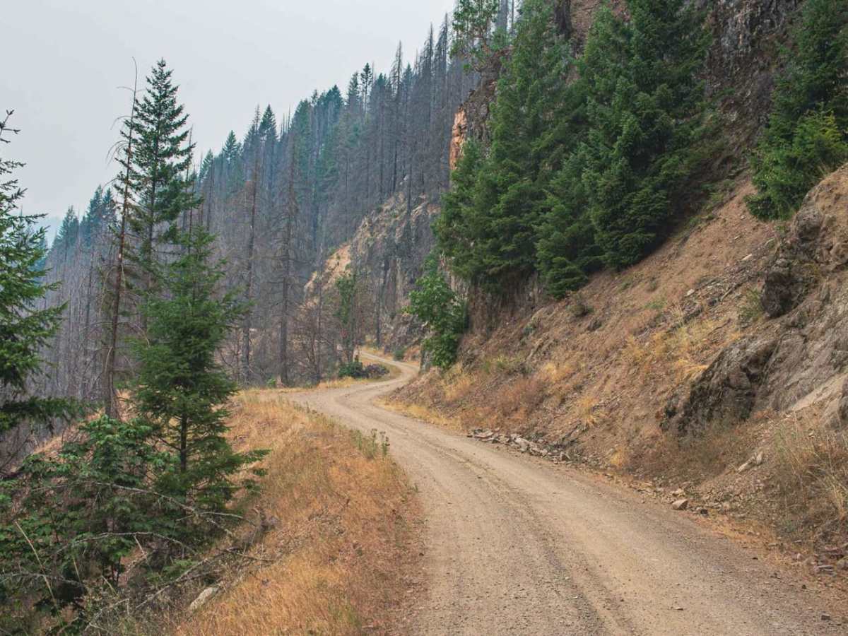Buck Mountain trail photo