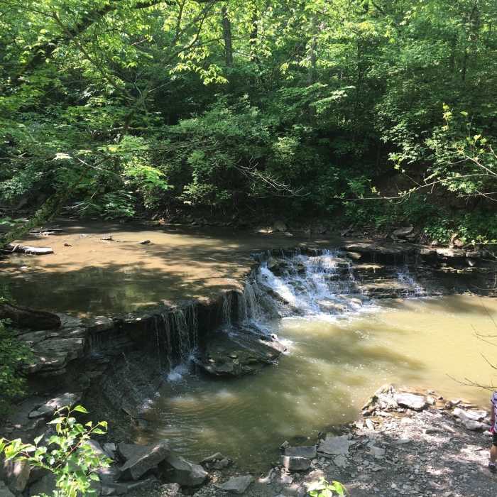 Near Sharon Woods Super Sampler