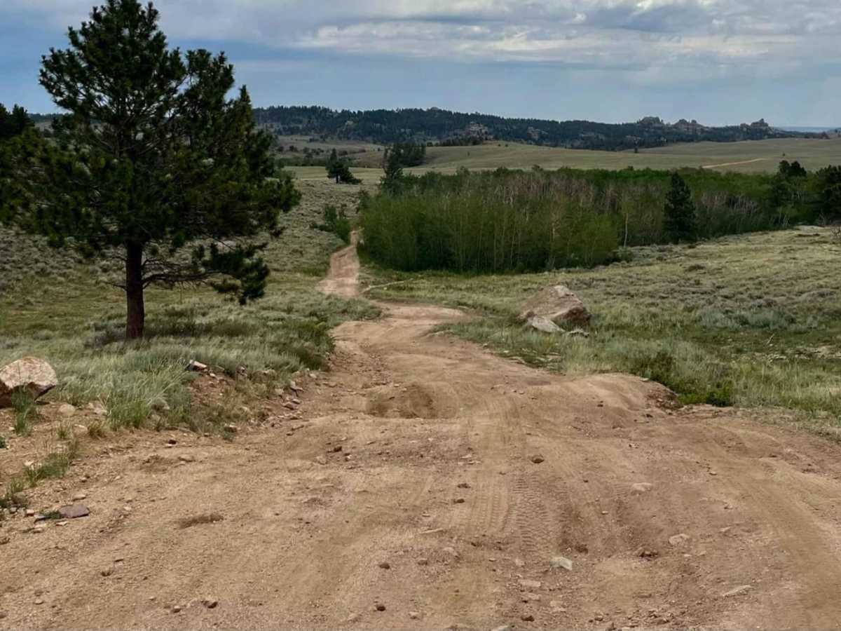 Twin Mountain Trail trail photo