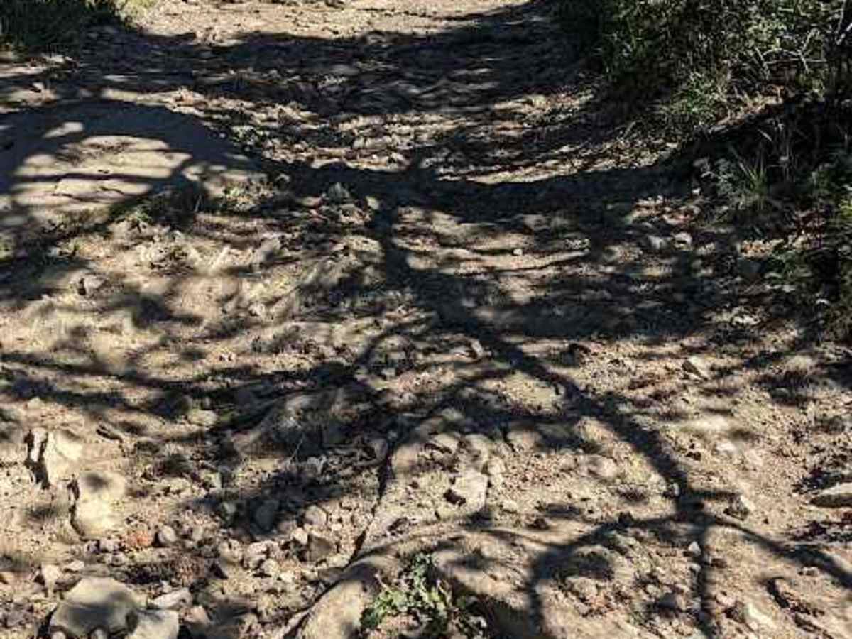 Porcupine Hills Trail 43 photo 3