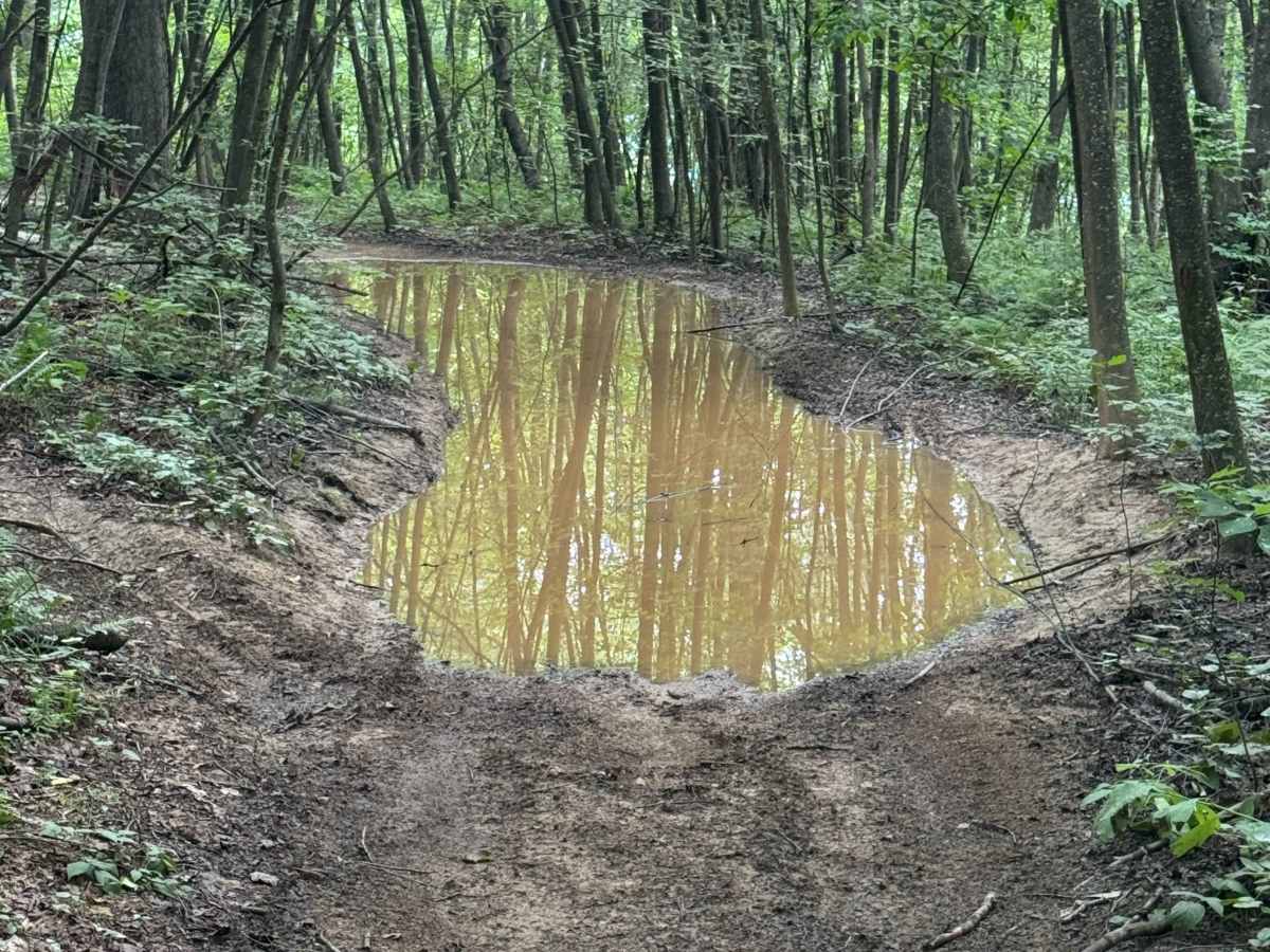 Trail 64 photo 2