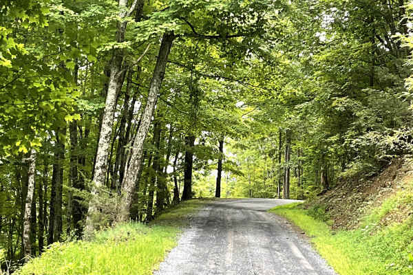 State Route 770 