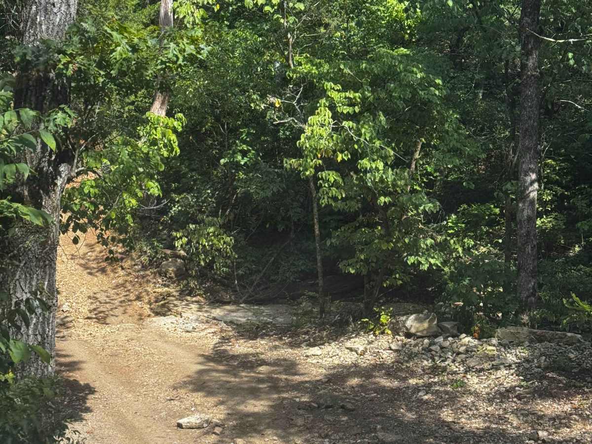 Main Trail  photo 4