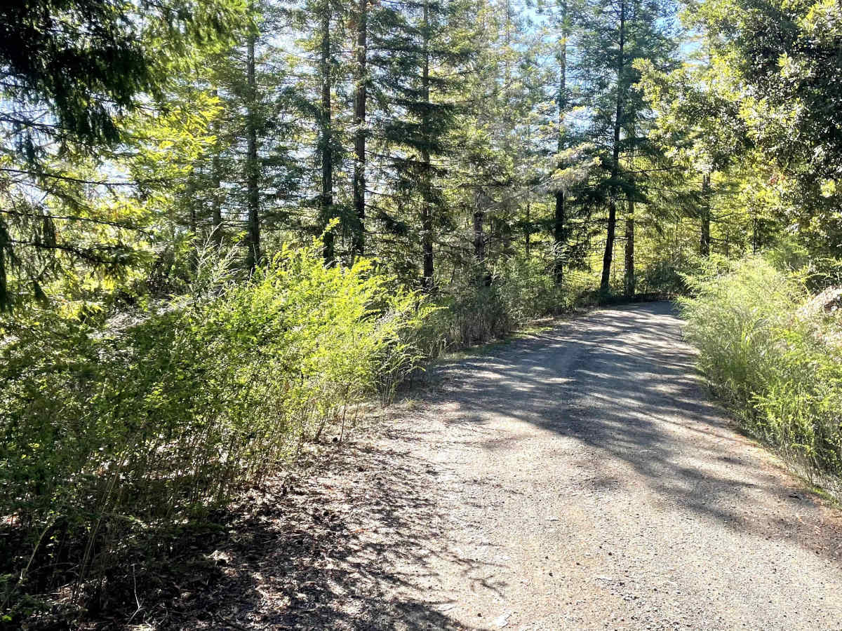 Mendocino County Road 500 photo 5