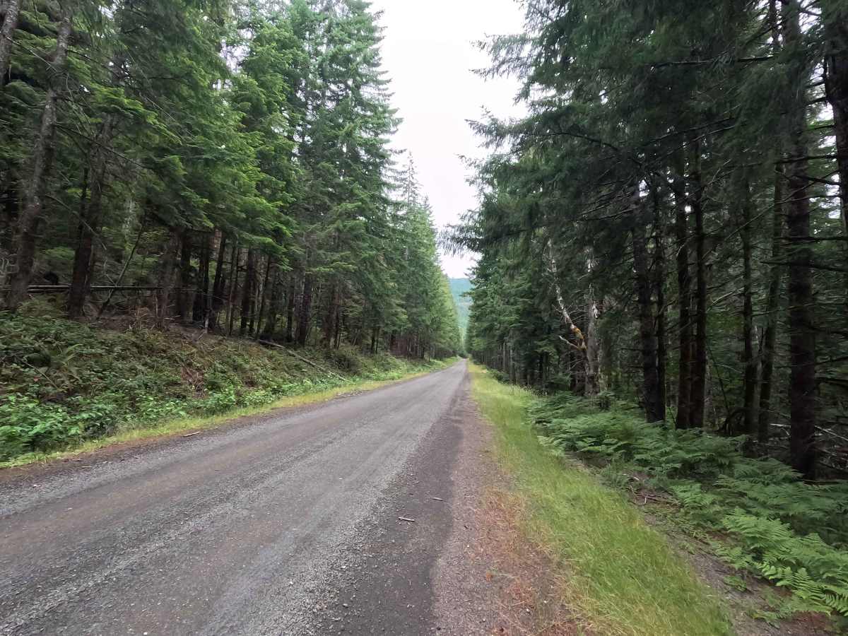 Church Creek Trailhead - FS 2361 photo 3