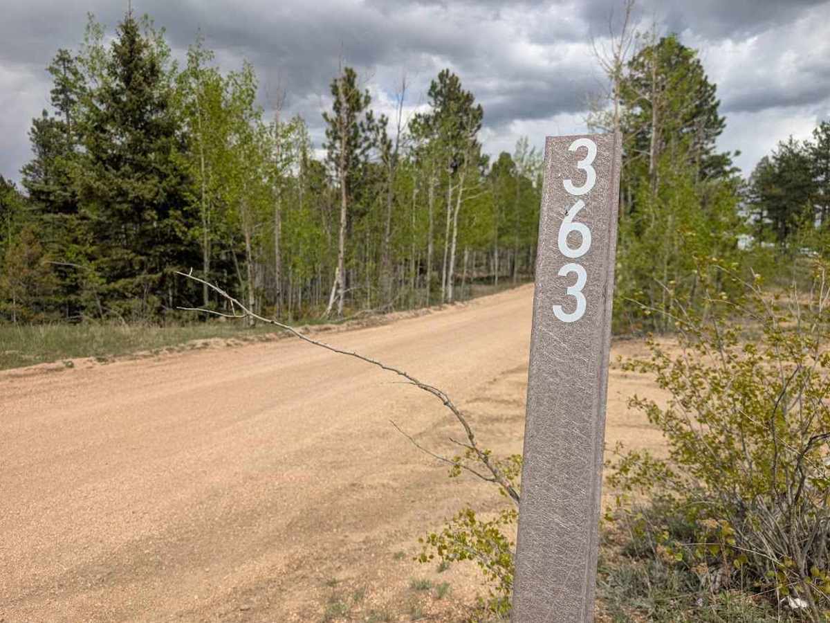 Phantom Road trail photo