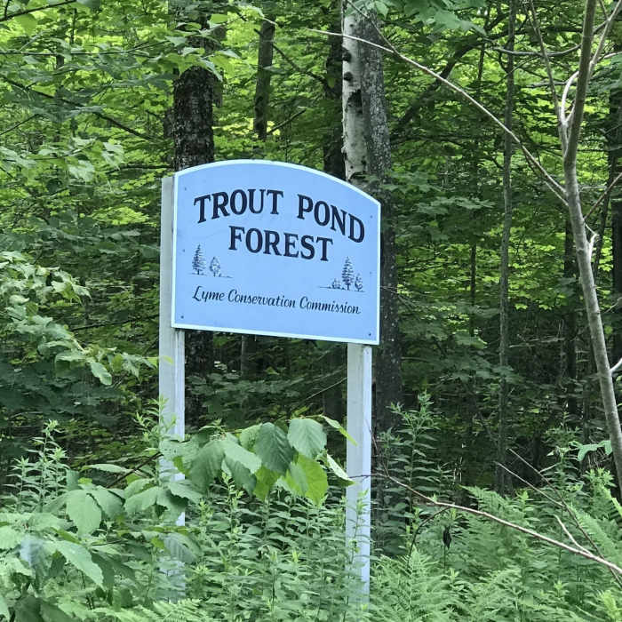 Sign that indicates where the parking area is. Near Trout Pond Trail