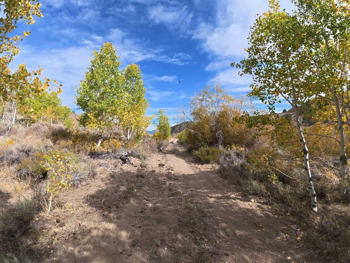 Prospects Connector Road photo 2