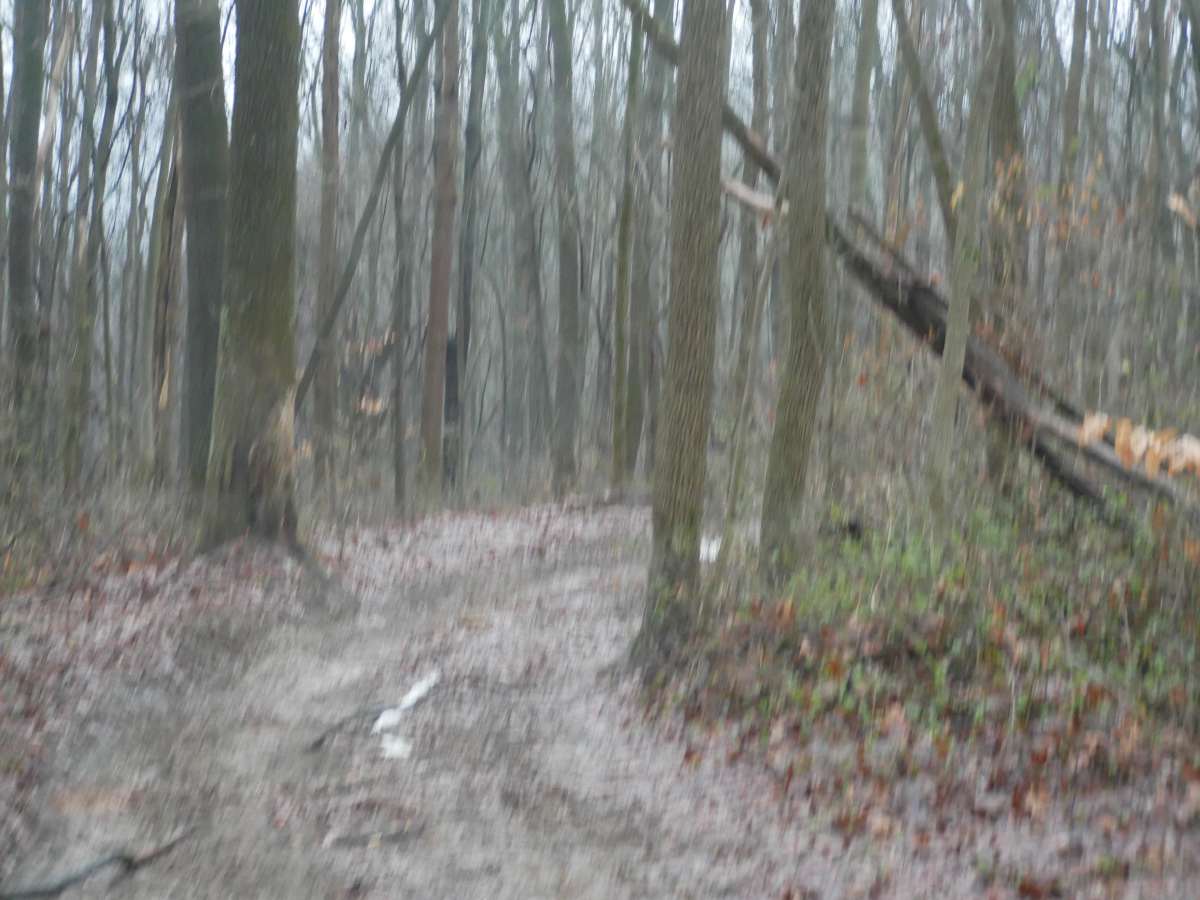 Trail 44 photo 4