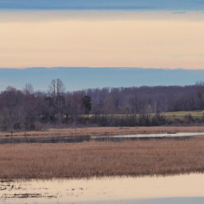 Patuxent River Park Jug Bay Natural Wetlands Near Jug Bay Tour