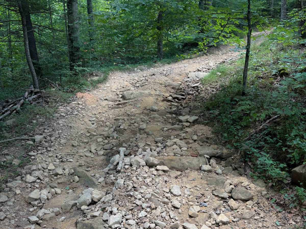 Brashy Fork Ridge Trail photo 4