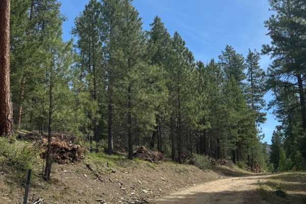 Sherman Creek Trailhead Road