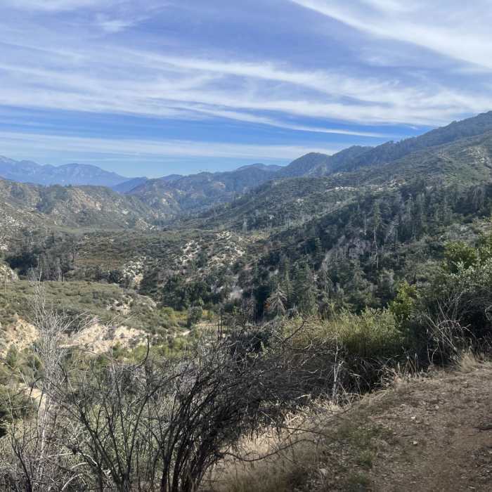 Near Mount Wilson Trail to Red Box