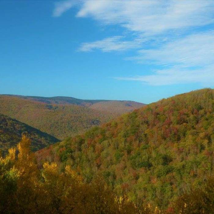 Near Rocky Point Trail