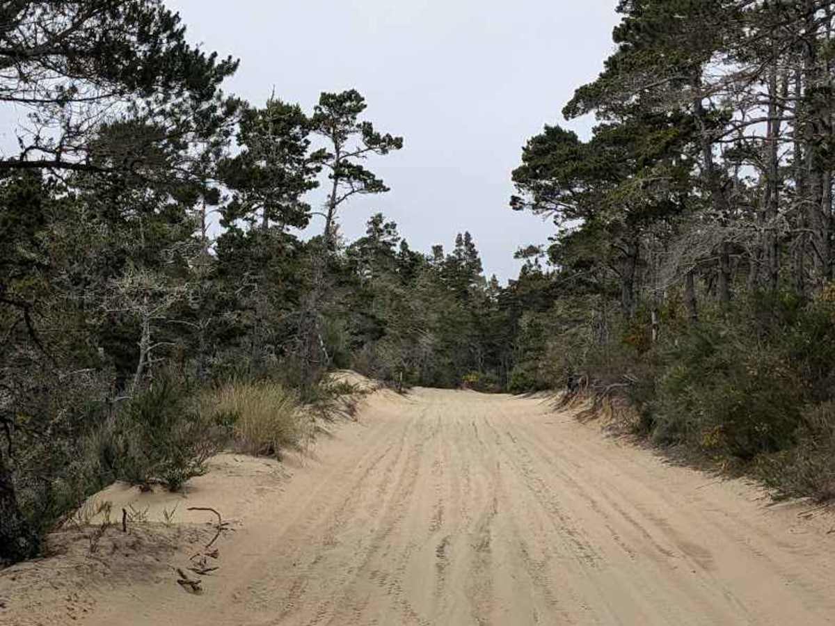 South Jetty Trail A - FS 1344A photo 4