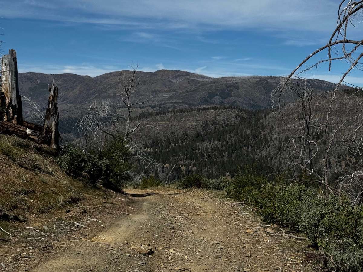 Wilblain - FS 16N18 trail photo