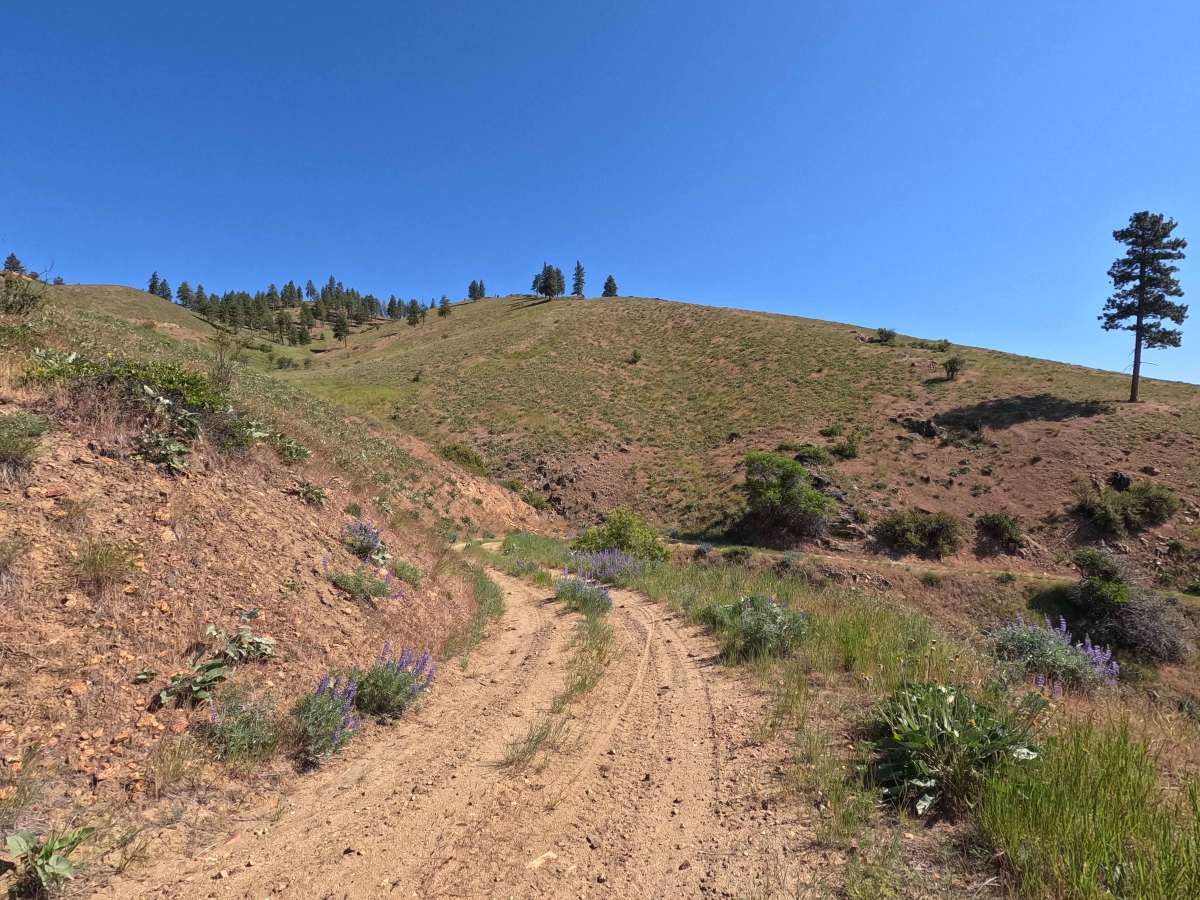 Powerline Road - FS 5303 photo 4