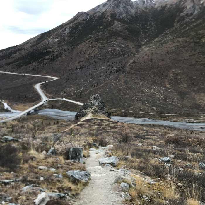 Near Savage Alpine and River Route