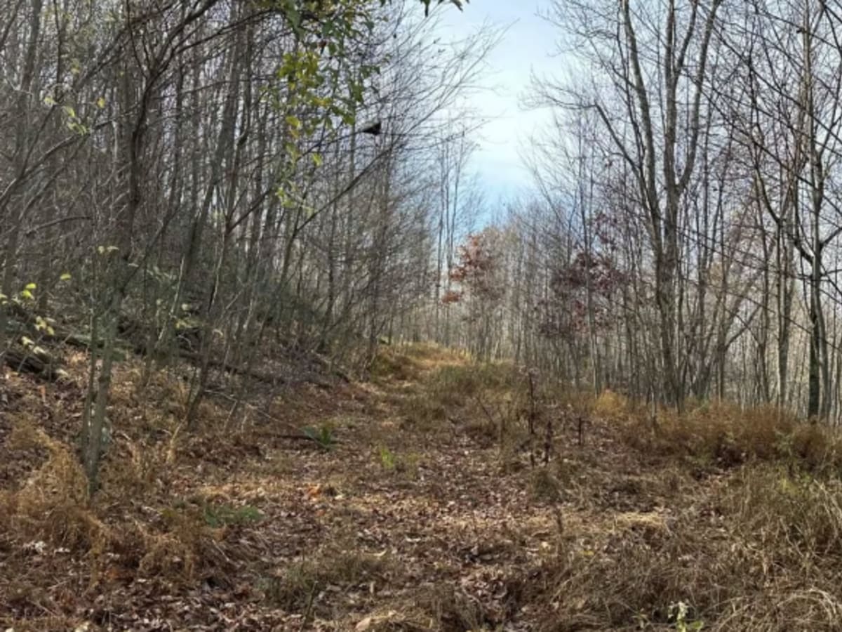 Ashland 158 photo 5