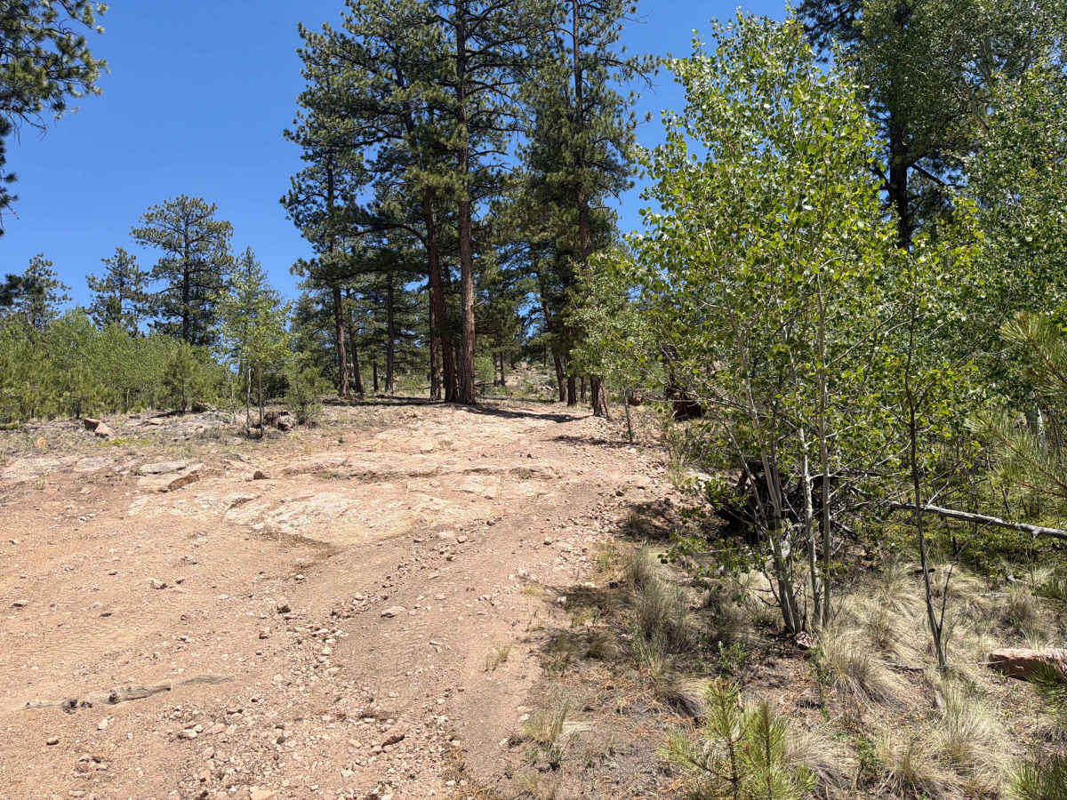 Great View Road - FS 245 trail photo