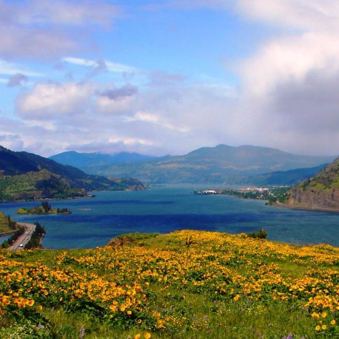 Near Mosier Creek Falls + Plateau Trail