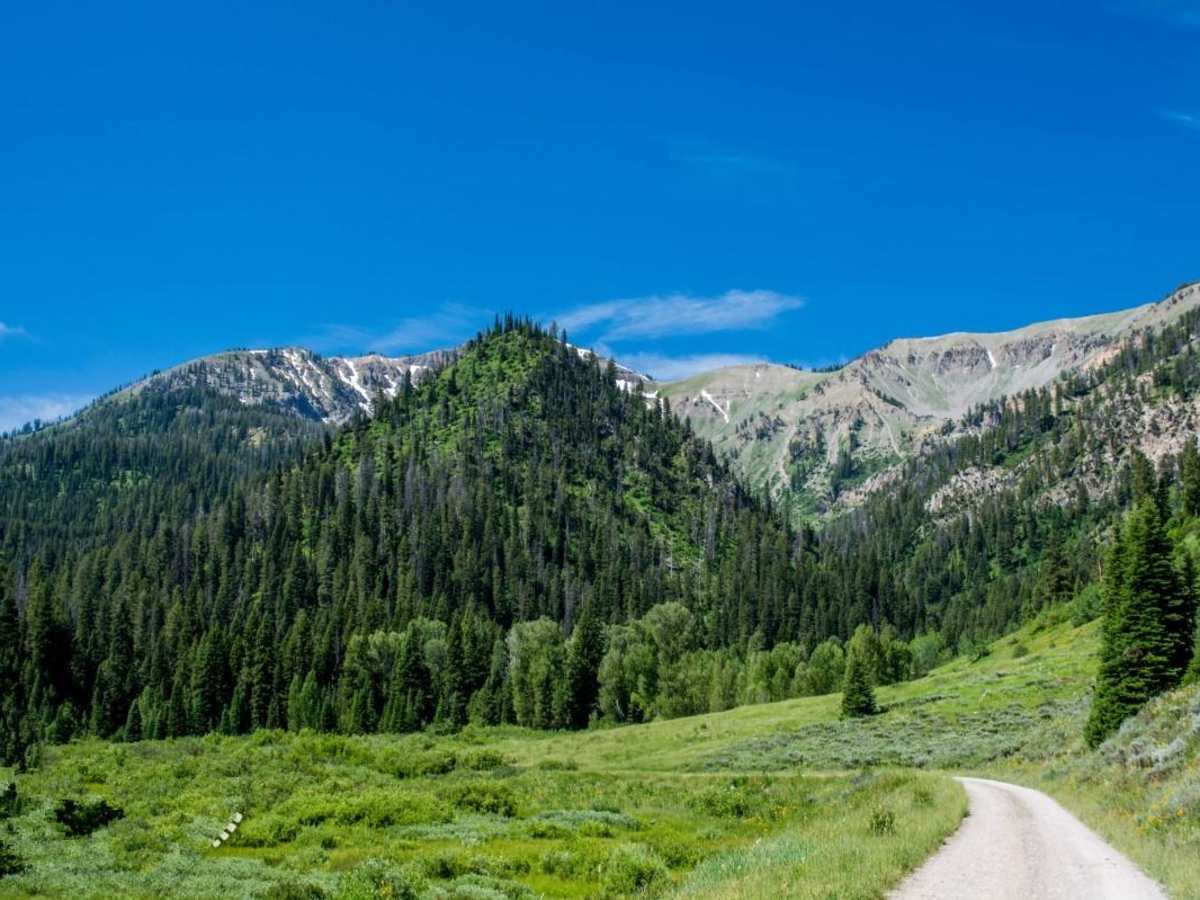 Greys River trail photo