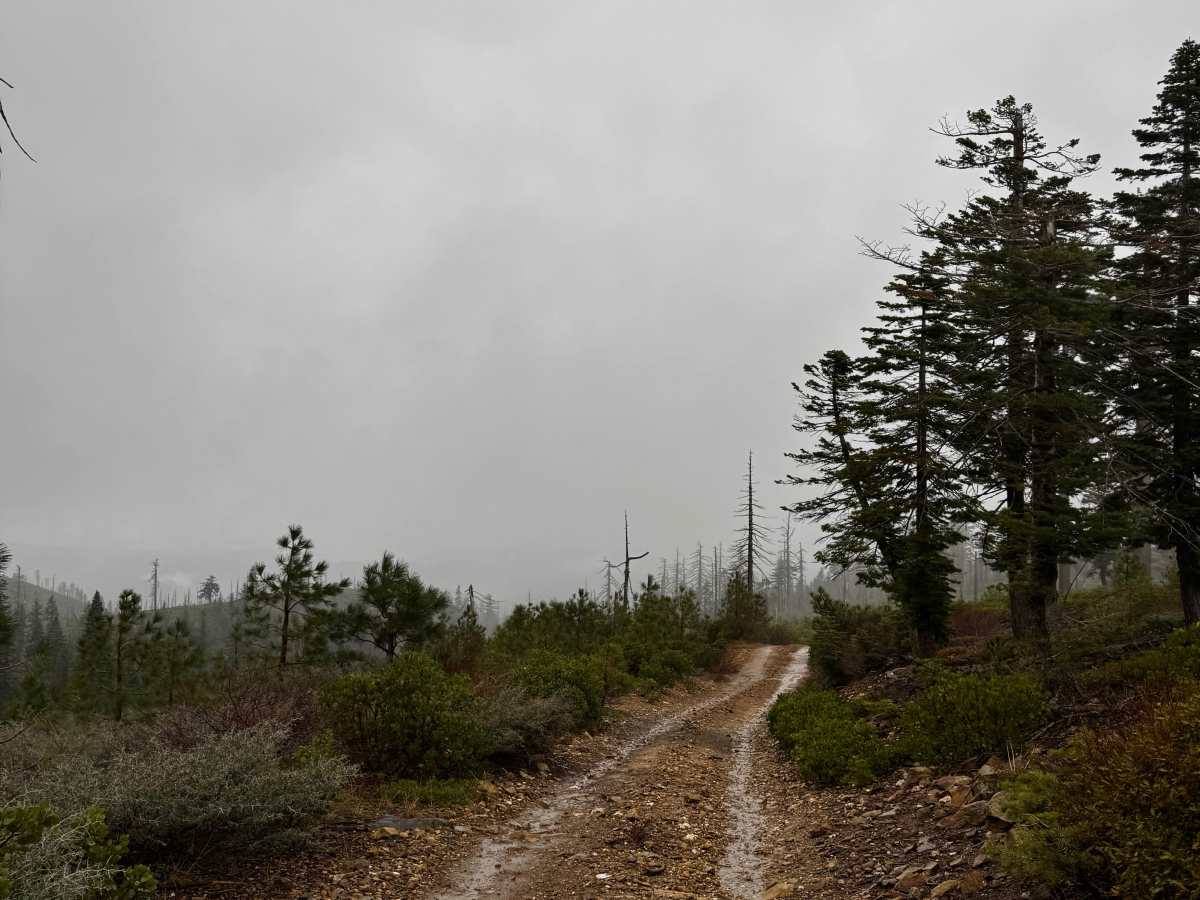 American Hill Trail trail photo