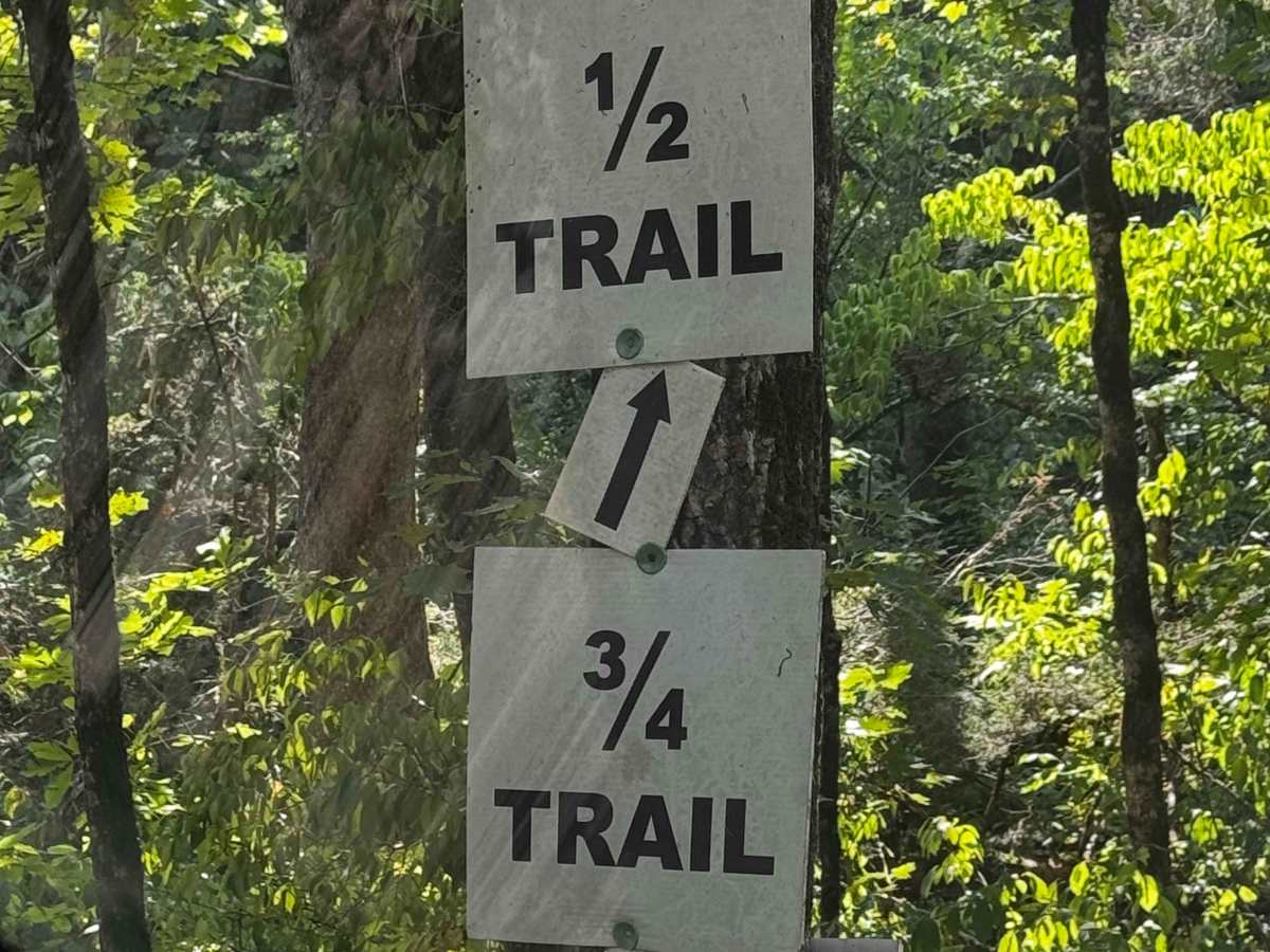 1/2 Trail trail photo