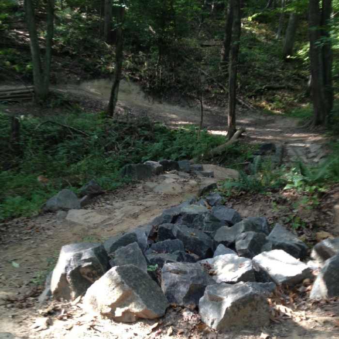 Near Sidetrack Trail