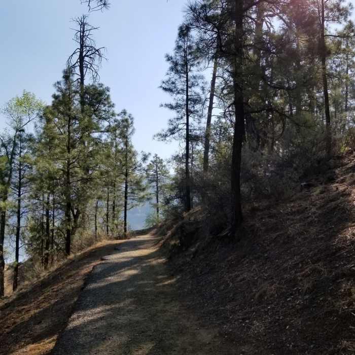 Paved part of Trail 311 going to the dam. Near Lynx Lake Trail #0311