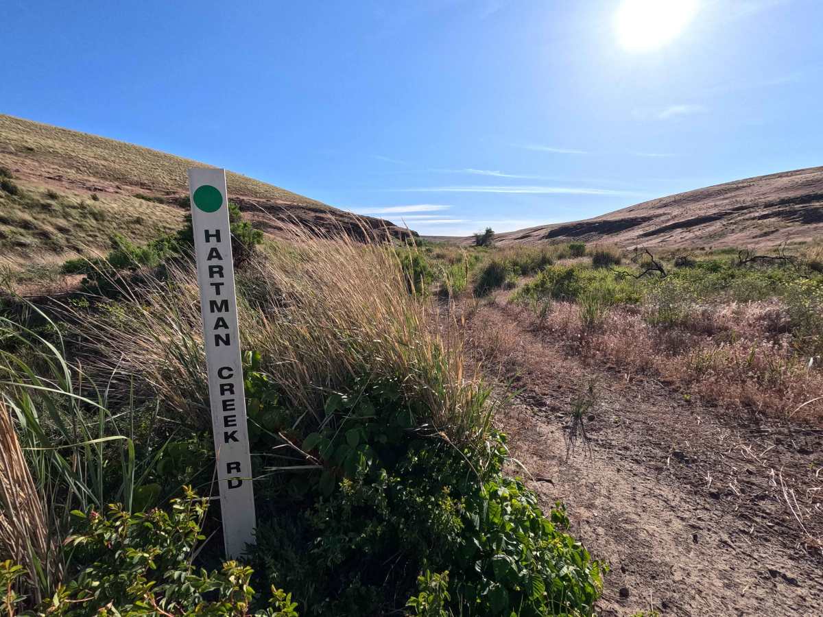 Hartman Creek Road trail photo