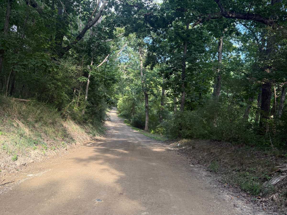 Doyle Trail trail photo