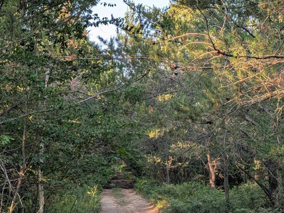 The Flats Trail photo 5