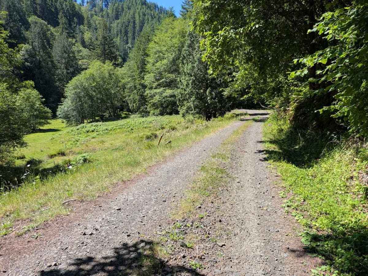 Grass Creek Rd - FS 3430 photo 3