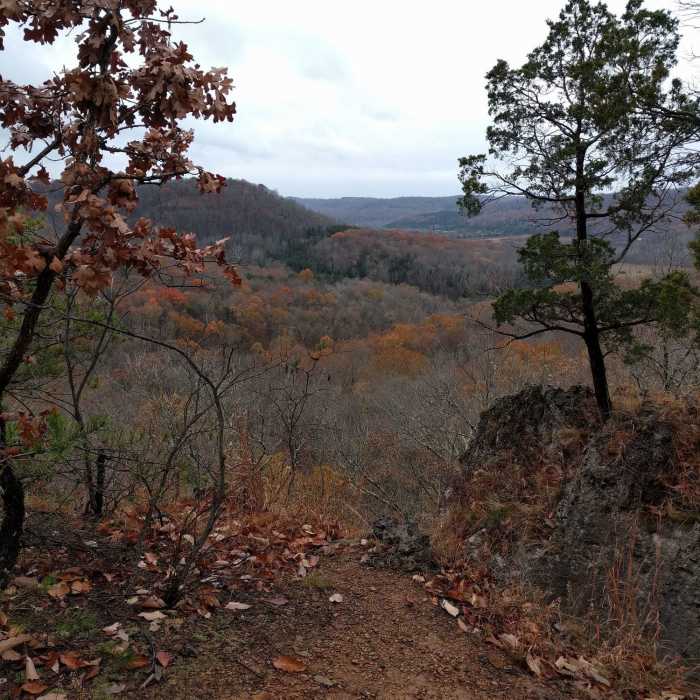 Near Joan Jones Portman Trail