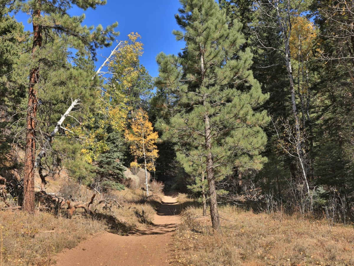 Trout Creek (FS 649) photo 2