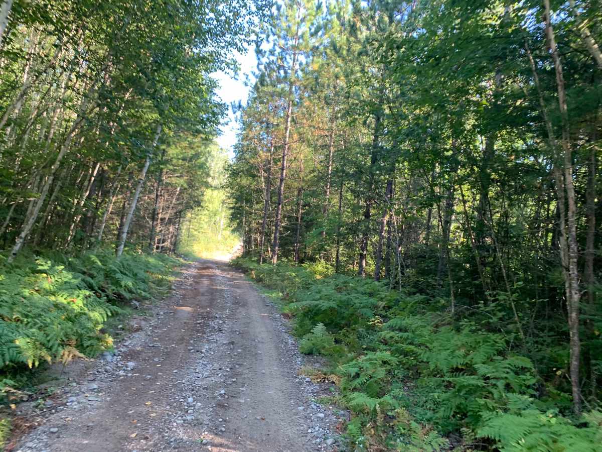 Vermigrade Spur Di Trail trail photo