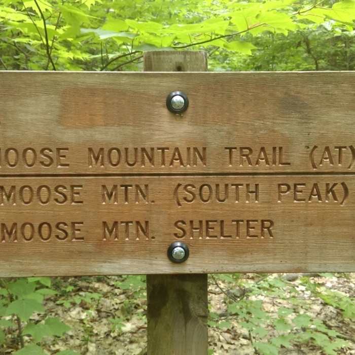 Make sure to follow the correct path Near Moose Mountain Trail