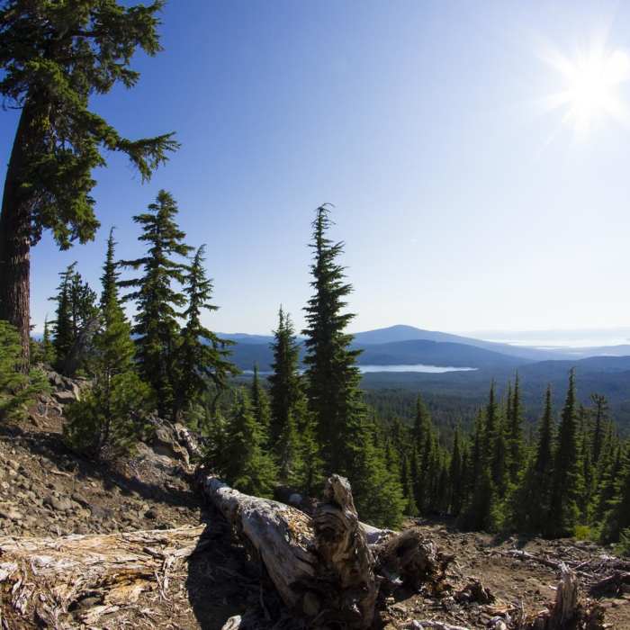 Near Mount McLoughlin