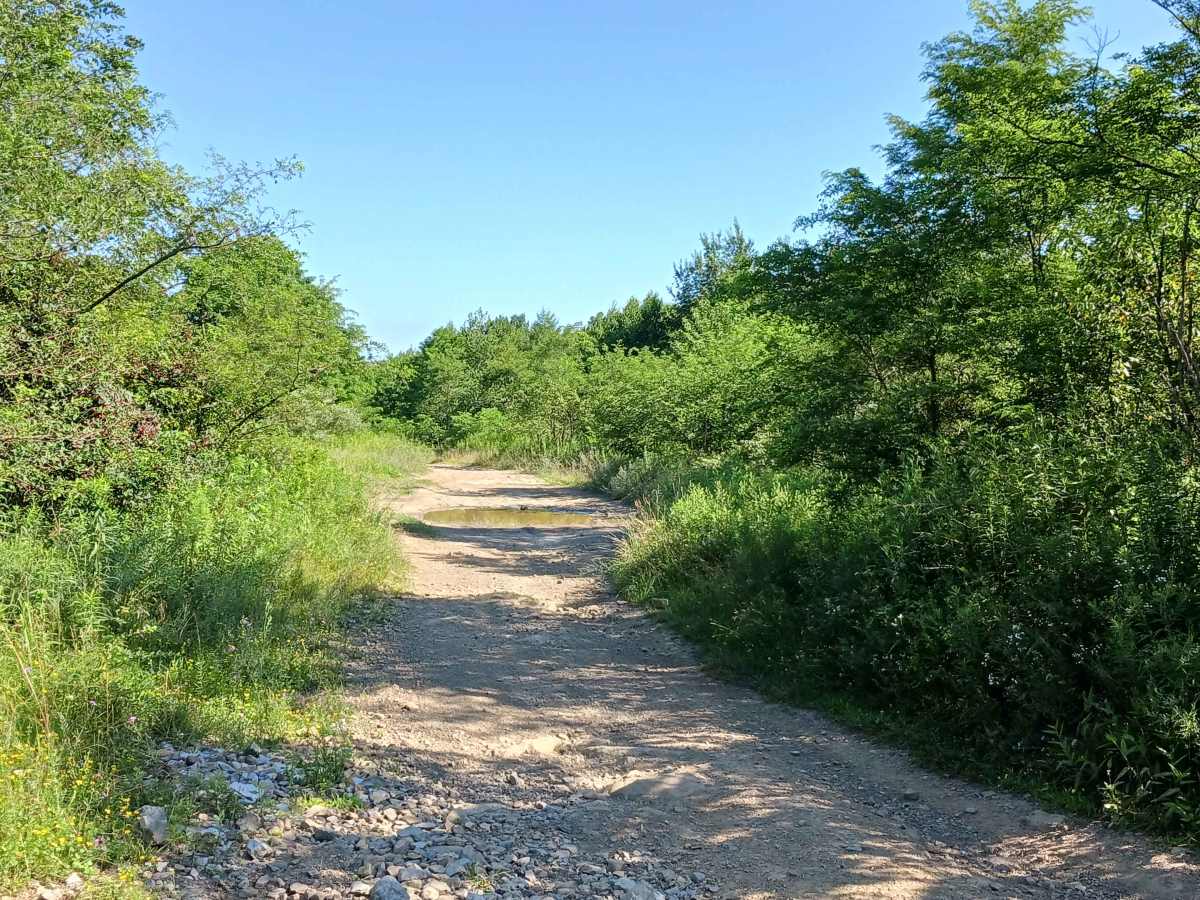 Trail 14 - Rock Run Recreation Area photo 3